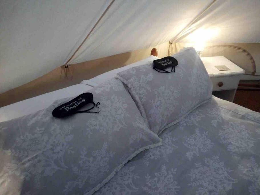 فندق Cox Hill Glamping Badger ترورو المظهر الخارجي الصورة