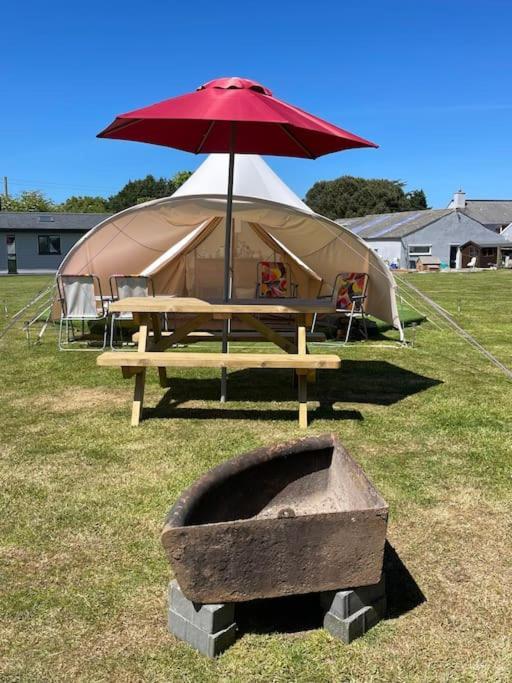 فندق Cox Hill Glamping Badger ترورو المظهر الخارجي الصورة